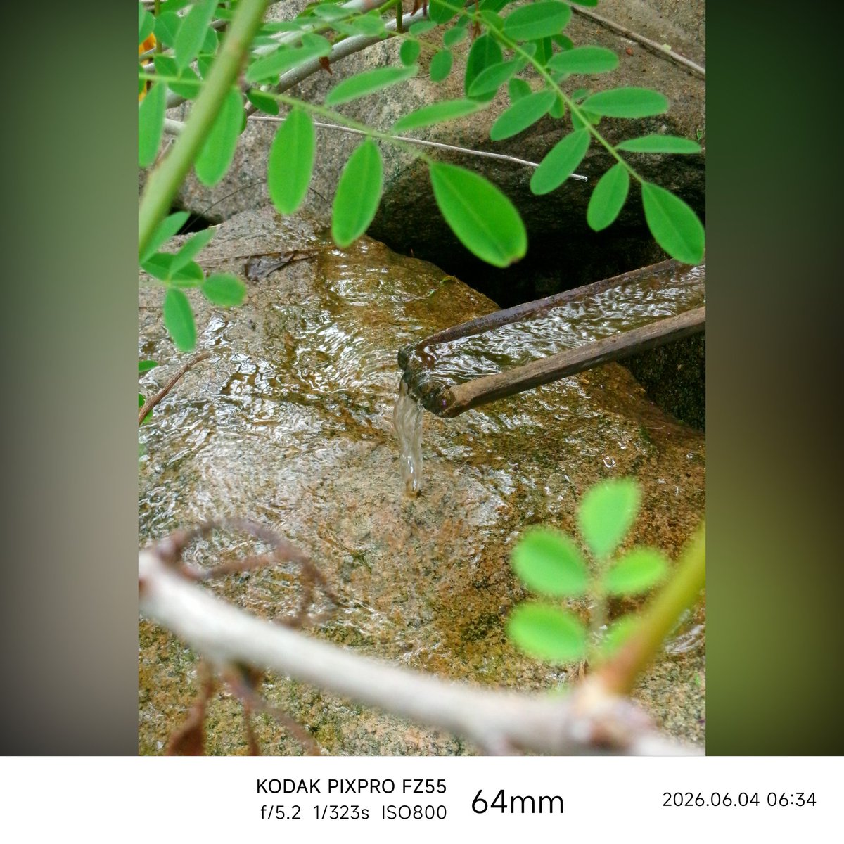 Photo_6R's tweet photo. ズームしながらブレないように撮るのムズい！

#キリトリセカイ
#FZ55
#写真が好き https://t.co/69odtBPxdo