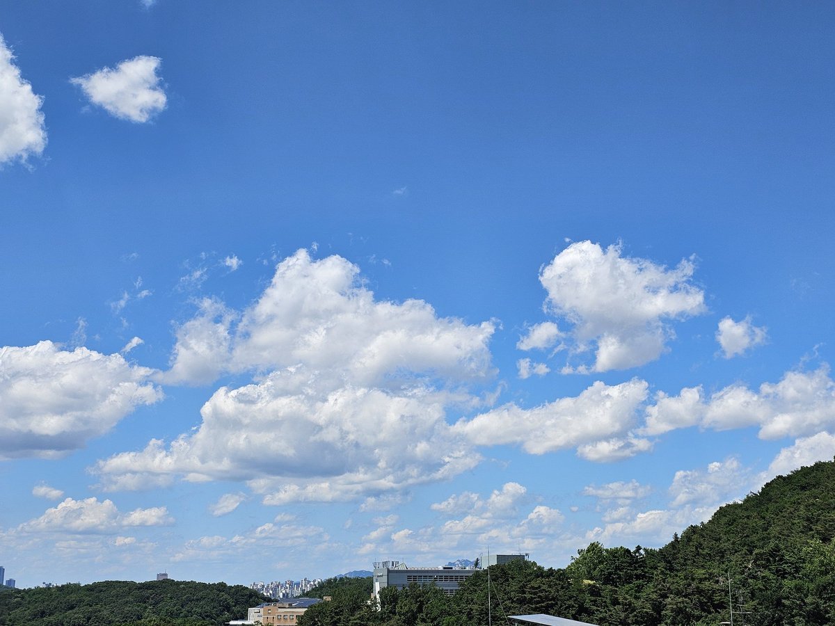 siro_chi_4's tweet photo. 날씨좋아 https://t.co/EYnSahgOUf