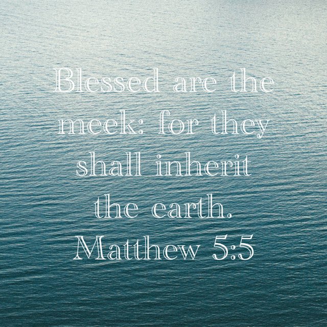 Colleentoepfer's tweet photo. AMEN!! ♥️✝️☝🏻📖👑🩸❤️‍🔥🕊️🙏🏻🙌🏻🎶👩🏻🤍🤗🥰 https://t.co/lxutBZnzrh