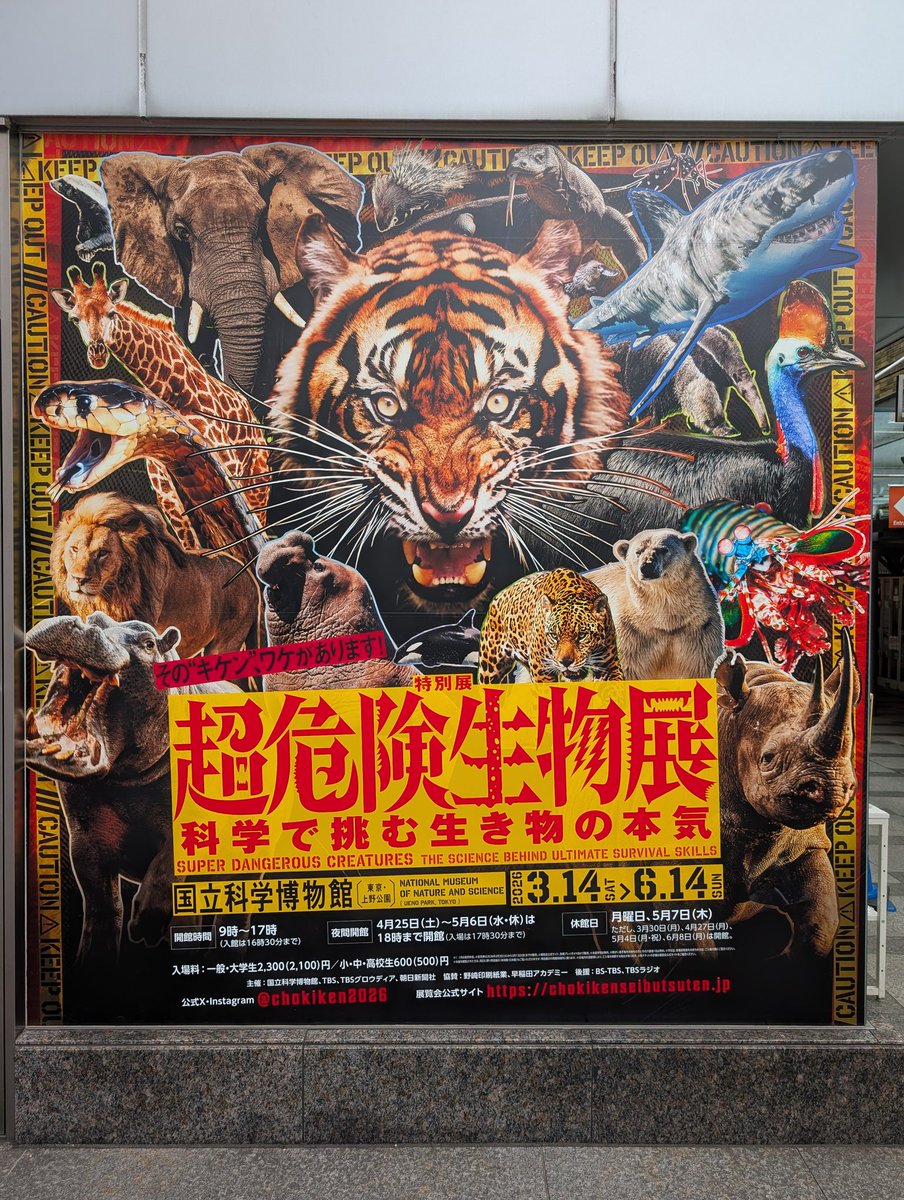 UEUEUEHARA's tweet photo. 上野に来ました！ https://t.co/tRlmRunCOC
