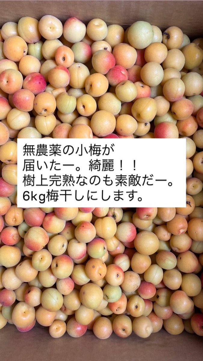 ejimaneo's tweet photo. https://t.co/azLc9MngKq
