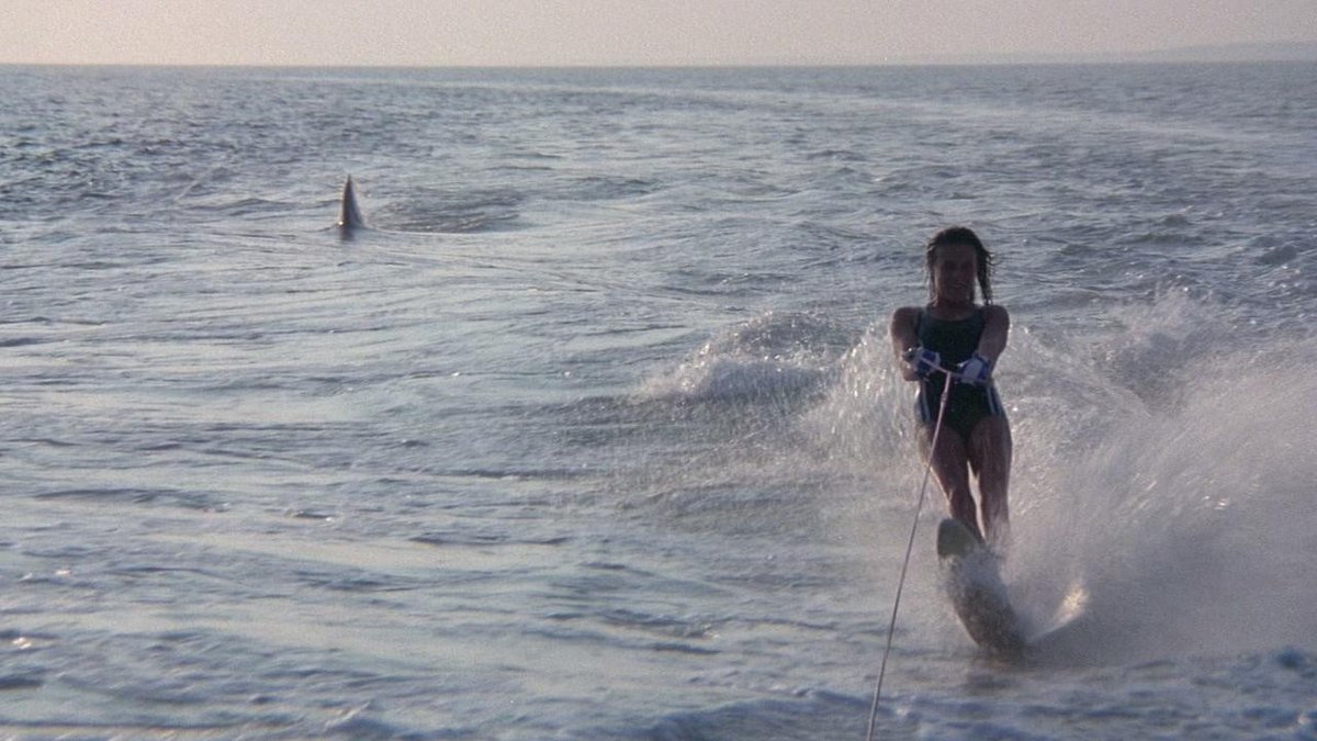 CinemaOfScreams's tweet photo. Jaws II is an underrated sequel. https://t.co/qkpJC94qbd