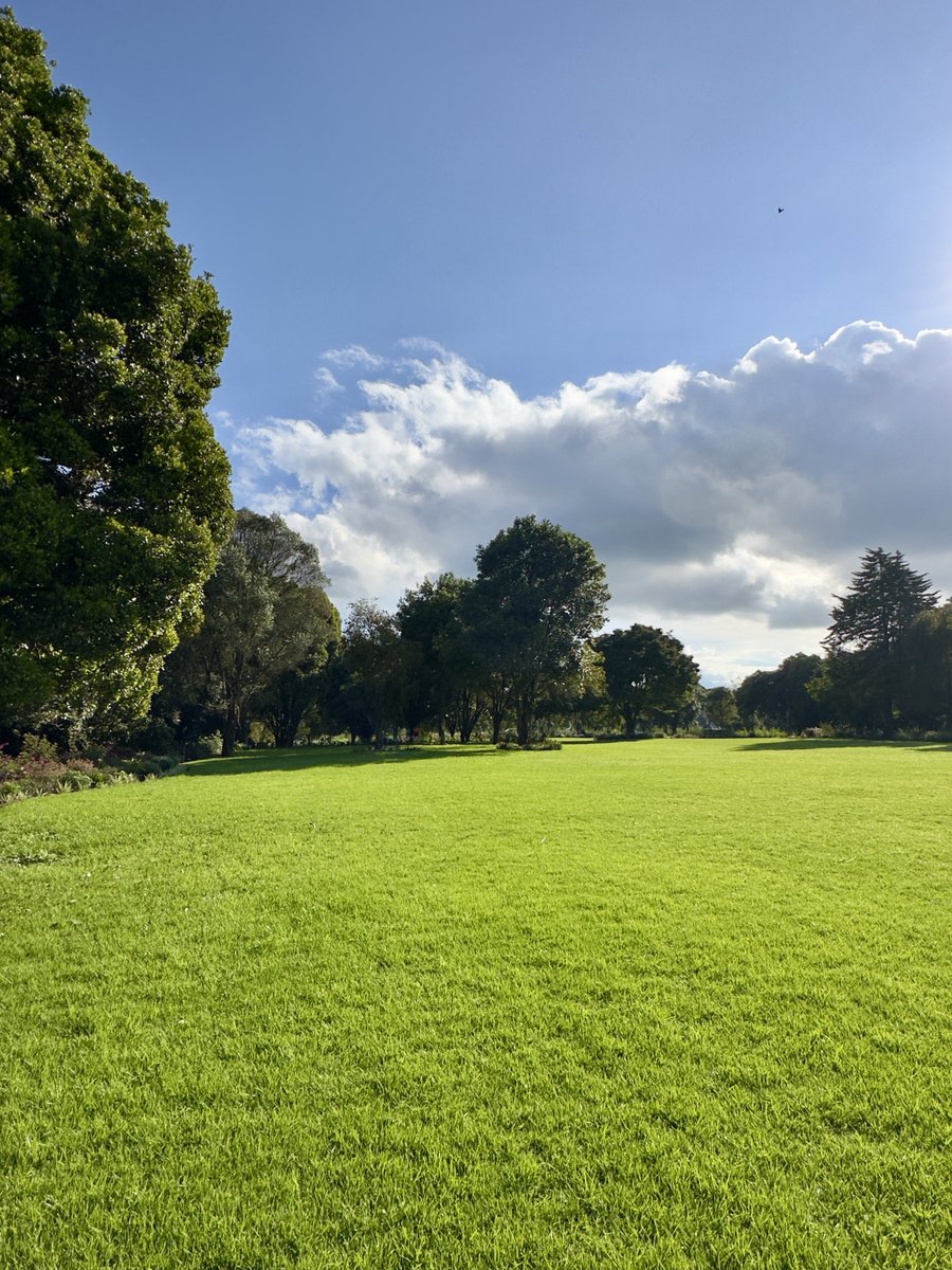 DaviesKinanga's tweet photo. 📍Naipei Gardens, Limuru 

Since I take some nice photos, let me drop my submissions for Safal Eye in the Wild 2026 https://t.co/DZSszxCmOe

Mniombee. Nataka kuwa top 3 nipate zawadi ☺️

#SafalEyeInTheWild #FrameYourFuture https://t.co/aCMjKioD9w