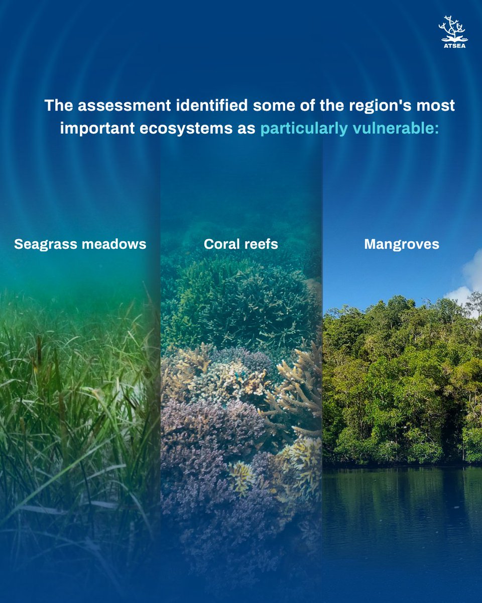 ProgramAtsea's tweet photo. Climate risks are already affecting the ecosystems we depend on.

This World Environment Day, explore ATSEA's Climate Change Vulnerability Assessment for the Arafura and Timor Seas.

📖 https://t.co/phP6m73pp9

#ATSEA #NowForClimate https://t.co/gsuUr6pnDH