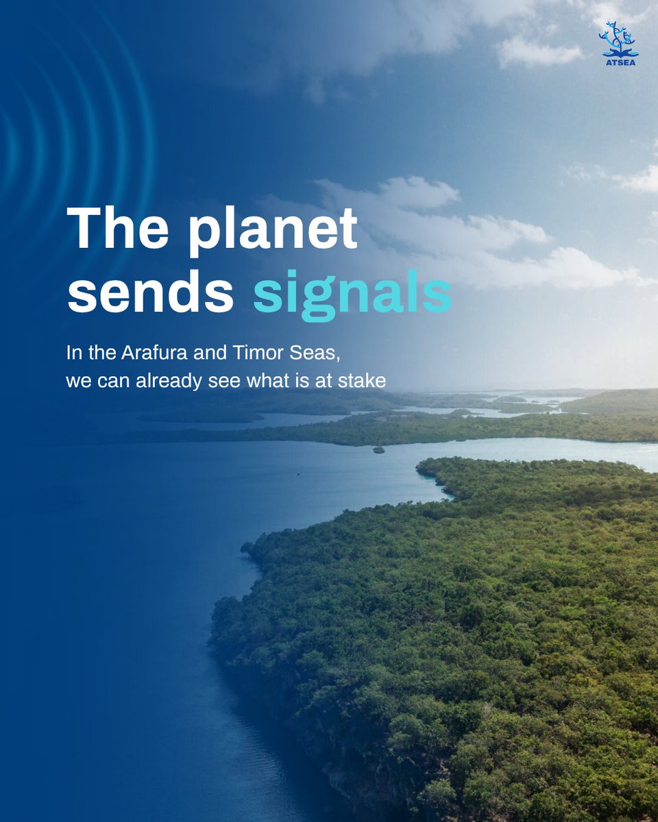 ProgramAtsea's tweet photo. Climate risks are already affecting the ecosystems we depend on.

This World Environment Day, explore ATSEA's Climate Change Vulnerability Assessment for the Arafura and Timor Seas.

📖 https://t.co/phP6m73pp9

#ATSEA #NowForClimate https://t.co/gsuUr6pnDH
