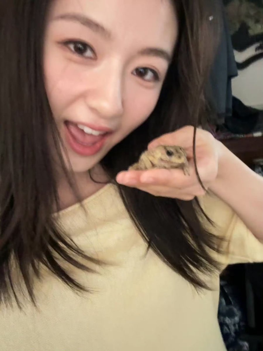 Lanwdy's tweet photo. Selamat siang, dajia. Kalian mam siang apa hari ini? By the way ada yang bisa nangkep kodok kaya wo gini gak? https://t.co/wtjVniBhyV