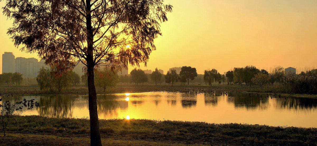 Svetyla77's tweet photo. Just finished a morning run around the West Lake with fresh air and warm sunshine! Perfect start to the weekend. https://t.co/MaTbn3jmye