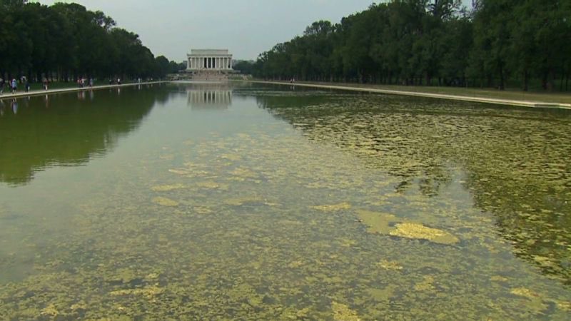 gringadaumber's tweet photo. @SecretaryBurgum @miguelifornia We want the pool back the way it was. We don’t care .Trump is bad, orange and blah blah blah. You ducking lunitics can’t even take the smallest pride in anything. https://t.co/CERhoDMIzv