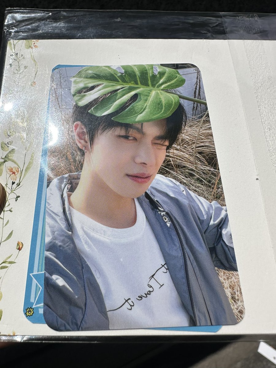 mola27jenny's tweet photo. #씬롱이_포카_자만추_원추
물론 난 ALD1 멤버 모두를 사랑하지만
씬롱이 포카는 왜 나에겐 안 오니..😂
#OMG!!
물론 상현, 상원, 리오 포카도 사랑해요 :)
오늘도 #Good_Life!!
26.06.05. KBS Music Bank
#ALPHADRIVEONE #알파드라이브원 #알디원 #ALD1 #씬롱 #xinlong #鑫隆 #シンロン #리오 #준서 #아르노 #상원 #안신 #상현 #Leo #Junseo #Arno #Sangwon #Anxin #Sanghyun #뮤뱅 #뮤직뱅크