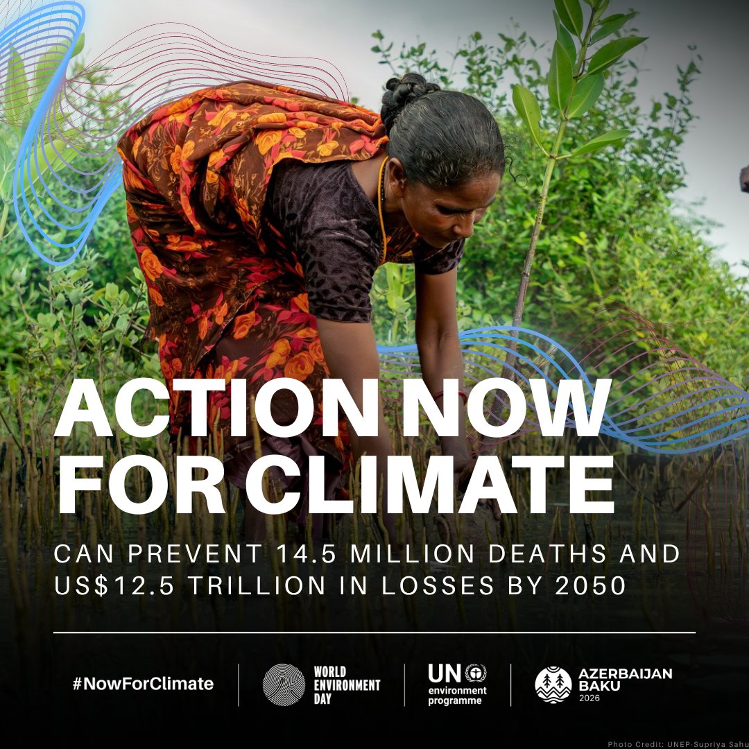 acrl_rfp's tweet photo. Today is #WorldEnvironmentDay.

Africa's faith communities have been responding to the climate crisis long before it had a name. They work on the soils, the watersheds, the forests, and the communities that no treaty has reached yet.
1/2 https://t.co/bSoU1bHzLj