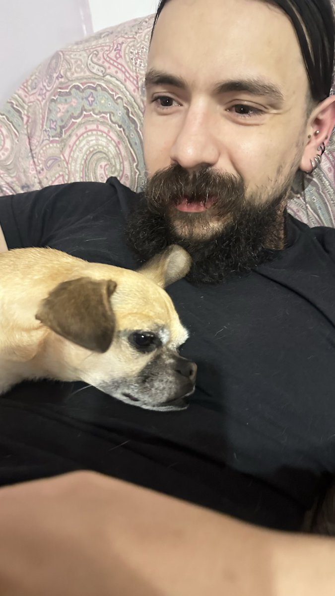 normiie90's tweet photo. Serie fotográfica de la Millie enamora de mi Lunita 🌙.  Su corazón ya no me pertenece… Millie q fácil olvidas quien te dio la vida 😢 https://t.co/ahcvLKwuTy