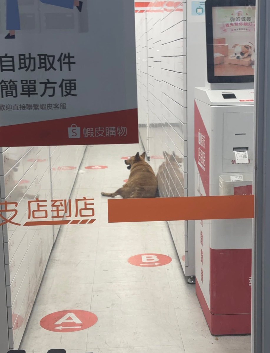 BTC_Gusta's tweet photo. 就知道有多熱了吧
這天氣真的狗！ https://t.co/GnDemW2gZA
