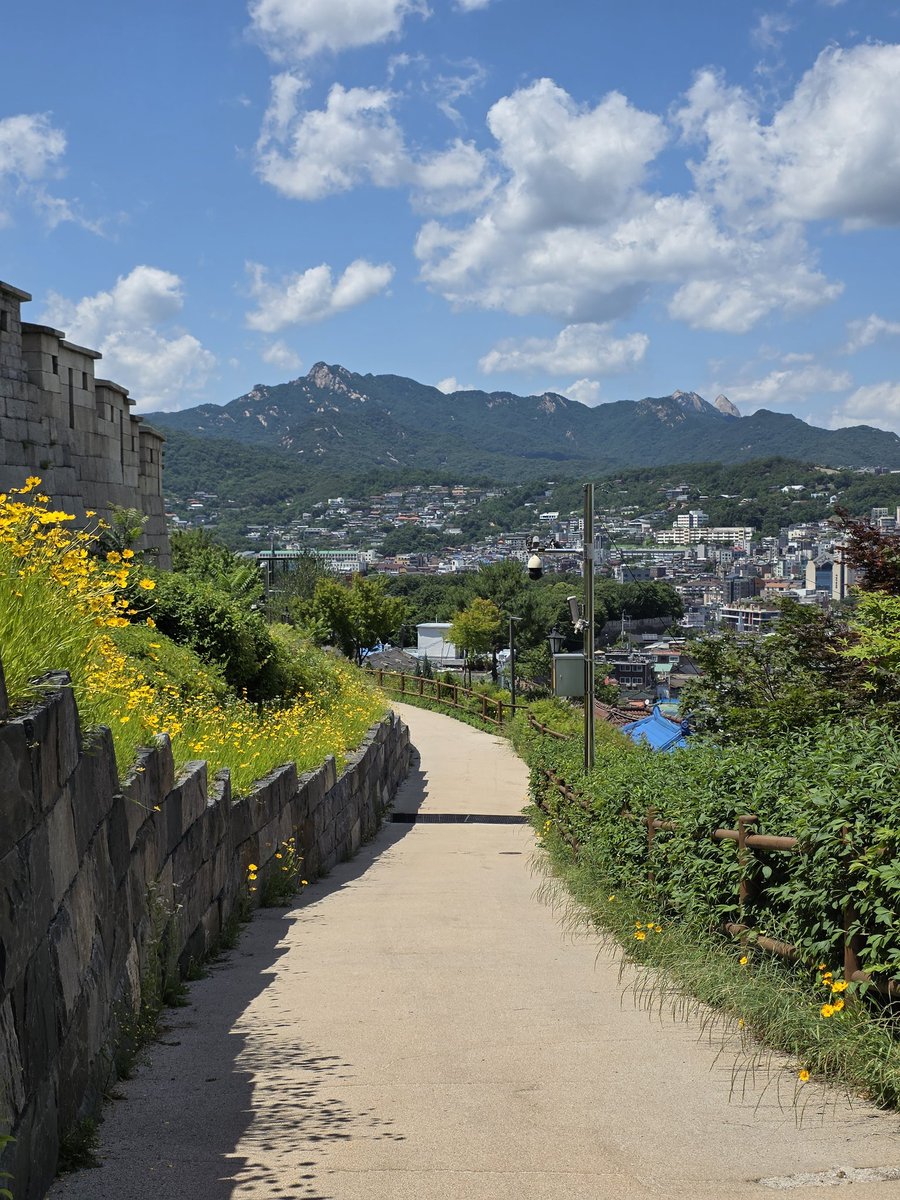 ujigi_'s tweet photo. 서울 낙산공원 https://t.co/i6ZozcyV7G