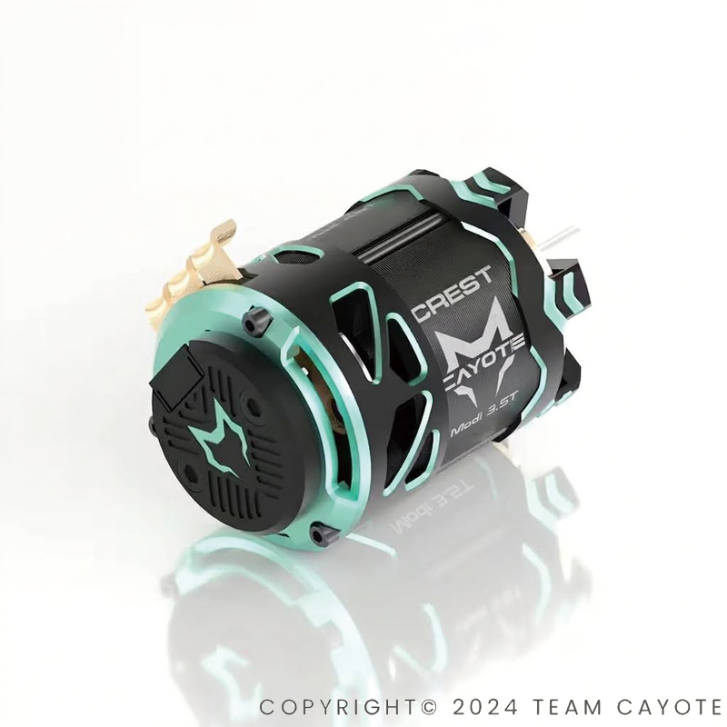 TEAM CAYOTE JAPAN Official tweet media
