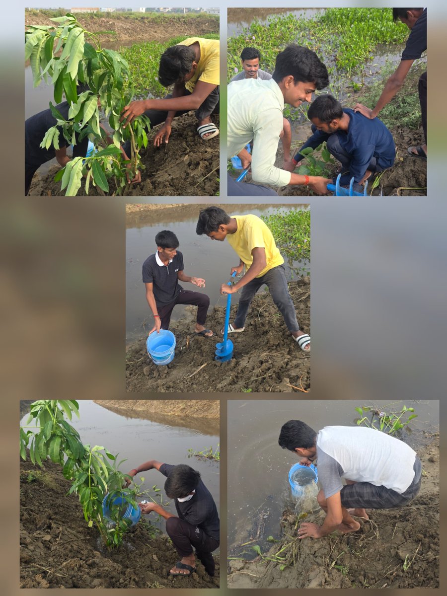 pypbihar's tweet photo. ☘️साँसें हो रही है कम
आओ पेड़ लगाएं हम।

आज विश्व पर्यावरण दिवस है, और प्रांतीय युवा प्रकोष्ठ पूरे बिहार में पिछले कई वर्षों से अधिक से अधिक पेड़ लगाकर पर्यावरण संरक्षण की दिशा में महत्वपूर्ण काम कर रहा है। 🌴
#विश्वपर्यावरणदिवस
#worldenvironmentday
#pypbihar https://t.co/f4f9CbUHct
