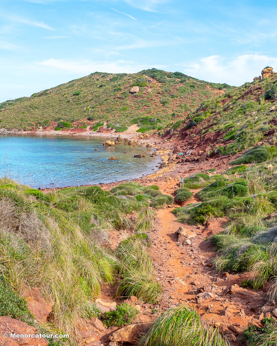 MENORCATOUR's tweet photo. 🌞 Cala Rotja 🏖️🌊🏊

🔗 Más info: https://t.co/j8poAZhNI7

👉 Síguenos en @MENORCATOUR
https://t.co/7b3UKg6YOQ

#CalaRotja #menorca #menorcaparadise #menorca_eyes #menorcalove  #menorca_nature #menorcaisland #menorcaturismo #menorcaexisteix #playas #playasmenorca #visitmenorca https://t.co/rgaFExcjtS
