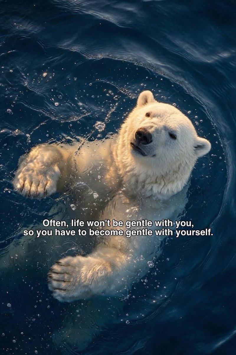 Hagareldeebb's tweet photo. life lesson. https://t.co/fidQgCjcyv