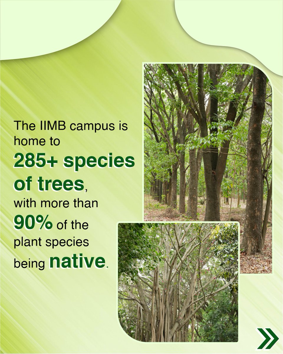 IIM Bangalore tweet media