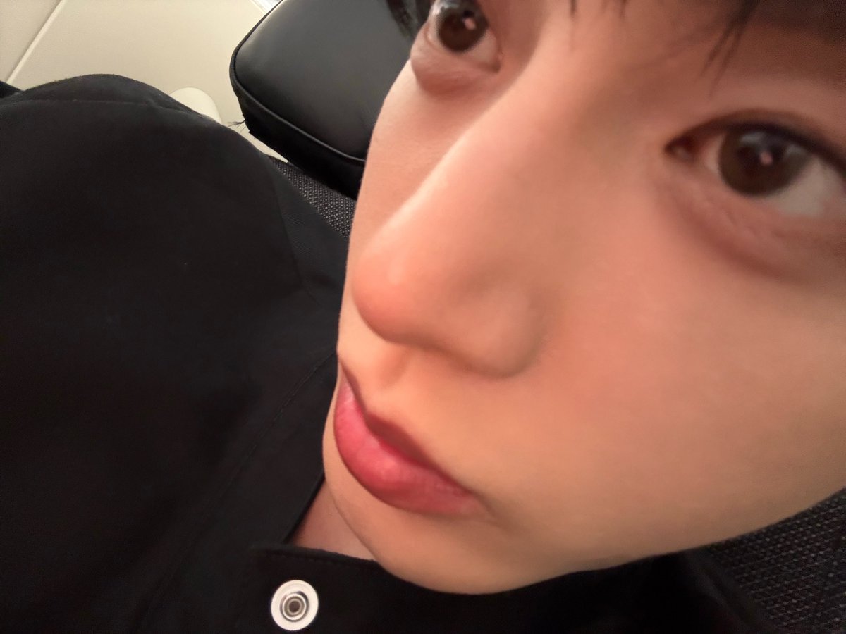 kittyplanet_'s tweet photo. 주인 폰 만지다가 카메라 버튼 잘못 누른 고양이 셀카 푸하하 https://t.co/QfGZ7CE0T1