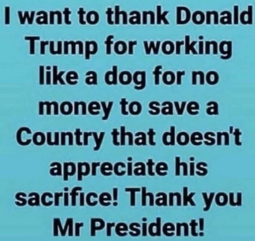 Rightwinger65's tweet photo. @WHLeavitt They make me sick!  What makes me more sick is @LeaderJohnThune ……..he has to go! https://t.co/OlvdZxk49z