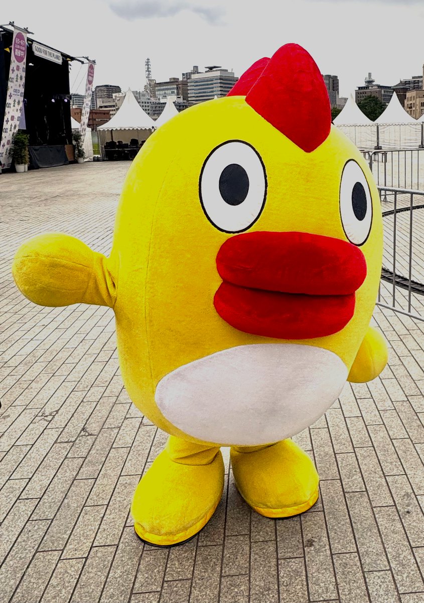 GFP_week's tweet photo. 6月5日は「世界環境デー」🌎！

きょうから３日間！
横浜赤レンガ倉庫で日テレ系人気番組と「地球にいいこと、人にいいこと」
を楽しく体感できる『グップラ赤レンガまつり』を実施中🌟

情報番組「DayDay.」と組んだ防災キッチンカー🚚の展示もしており、
明後日7日にはキッチンカーで調理した“特製焼きそば”の振る舞いイベントも開催予定です😊

そらジローファミリーも集合するので、
ぜひご家族でお越しいただけると嬉しいです！👪