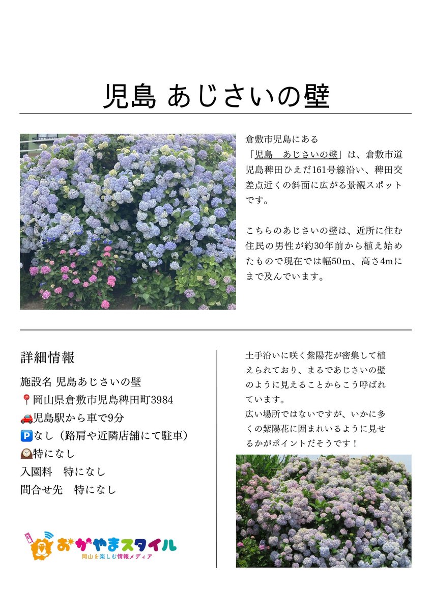 okymstyle's tweet photo. 岡山県で紫陽花（あじさい）が咲き誇る名所まとめ16選【2026年最新】 
https://t.co/Sij1mUqAcc

紫陽花アジサイが咲き誇る6～7月頃には、多くの人々がその美しさを楽しむためにあじさいの名所を訪れます。

そこで今回は、岡山県で紫陽花あじさいが見頃を迎える名所をまとめました。
岡山県の美しい紫陽花を堪能しましょう！

以下のスポットを紹介しました。

吉備津神社【岡山市北区】

美咲花山園【岡山県美咲町】

たけべの森公園のあじさいロード【岡山市北区】

深山公園（みやま公園）【岡山県玉野市】

津山城 鶴山公園【岡山県津山市】

蒜山ハーブガーデン ハービル【岡山県真庭市】

長法寺【岡山県津山市】

大瀧山西法院【岡山県備前市】

別格本山大聖寺【岡山県美作市】

児島 あじさいの壁【岡山県倉敷市児島】

種松山公園西園地【岡山県倉敷市福田】

花の山寺 普門寺【岡山県真庭市】

大山あじさいロード（大山展望台）【岡山県美作市】

済渡寺【岡山県新見市】