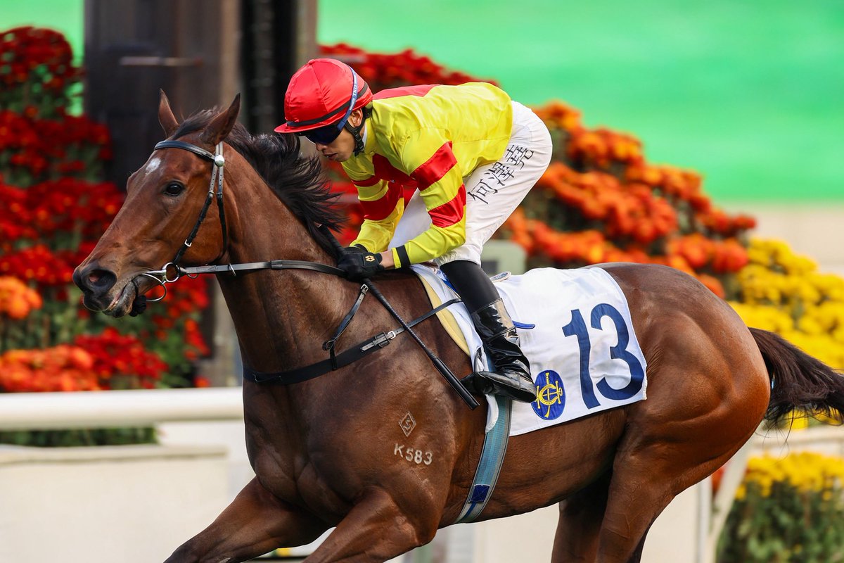 HKJC_Racing's tweet photo. Vincent Ho reunites with rising star Hot Delight in Class 2 test. #LoveRacing #HKracing 

@pjrydo writes.

Read here 👉 https://t.co/Cuk4zIY6Es https://t.co/iE7ekoNKjI