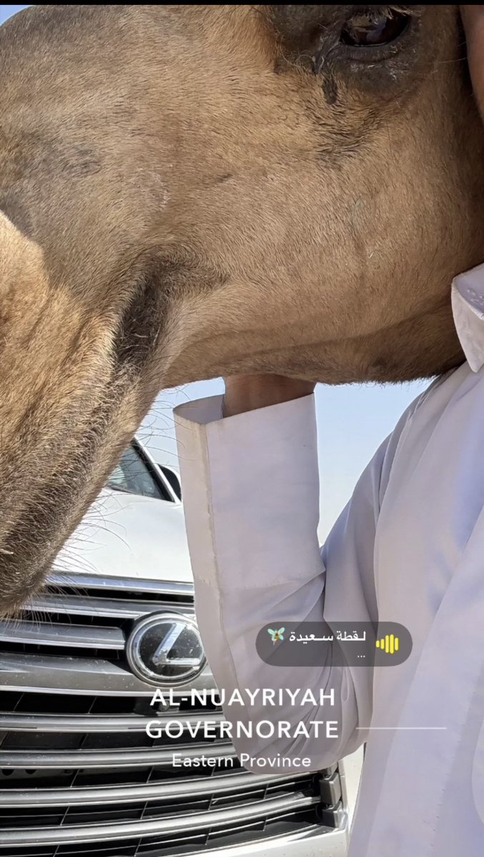 c_ct44's tweet photo. اخذي الكلام الصح لا جا حله
 هذا هى المضمون يا سيدتي

أنا اشهد انه لا إله إلا اللّٰه 
وان لا حبيبه فوق الارض الا انتي https://t.co/Tqd8fG1lRu