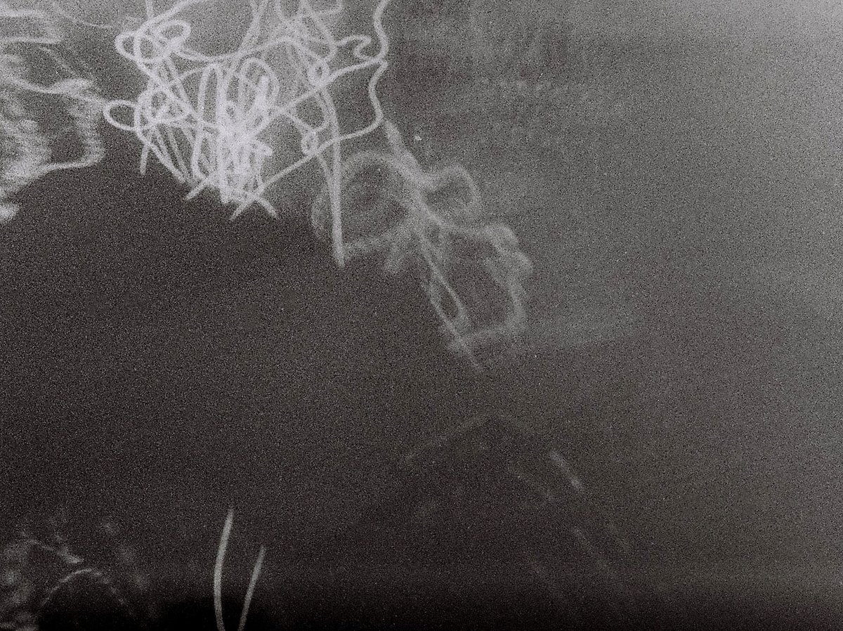 ST0PBATH's tweet photo. Long exposure light traces made with DIY 3d printed 110 film camera https://t.co/xNQOgForI1