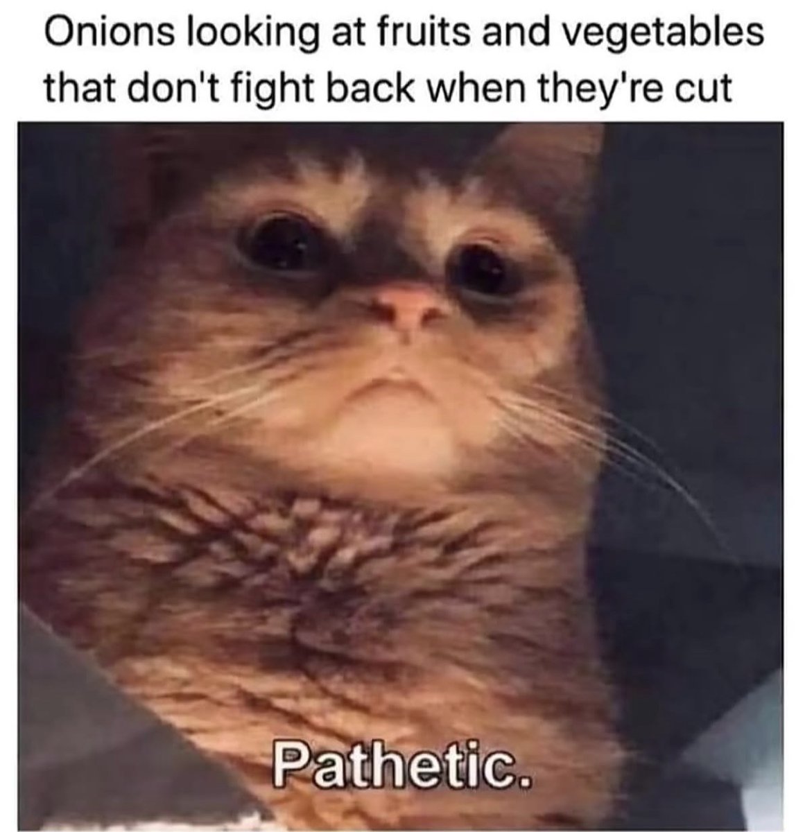 RespectfulMemes's tweet photo. https://t.co/2dTpSundRJ