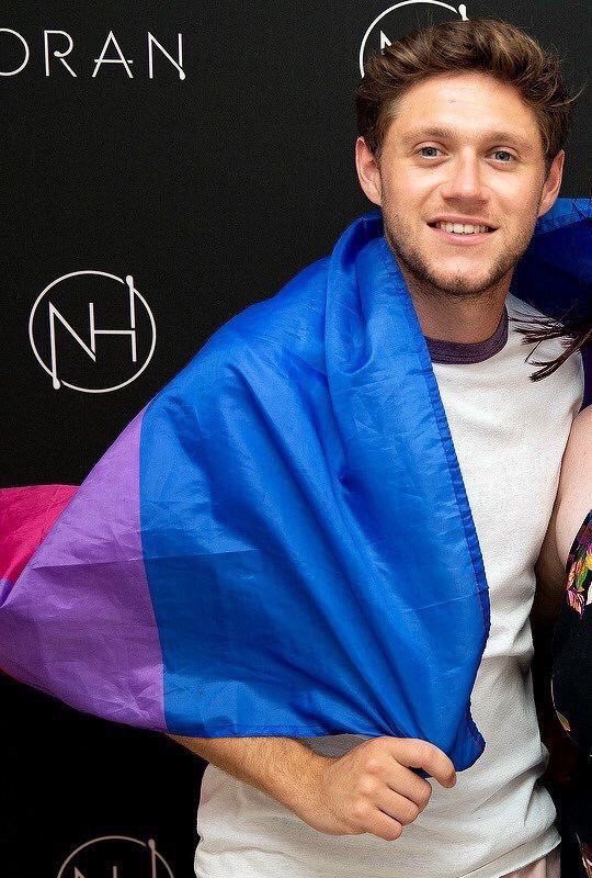 armsofnouiam's tweet photo. im sorry but boys are fun was written for bisexuals and bisexuals only THANK YOU NIALL HORAN PROTECTOR OF THE BISEXUALS https://t.co/wwCfLScBhy
