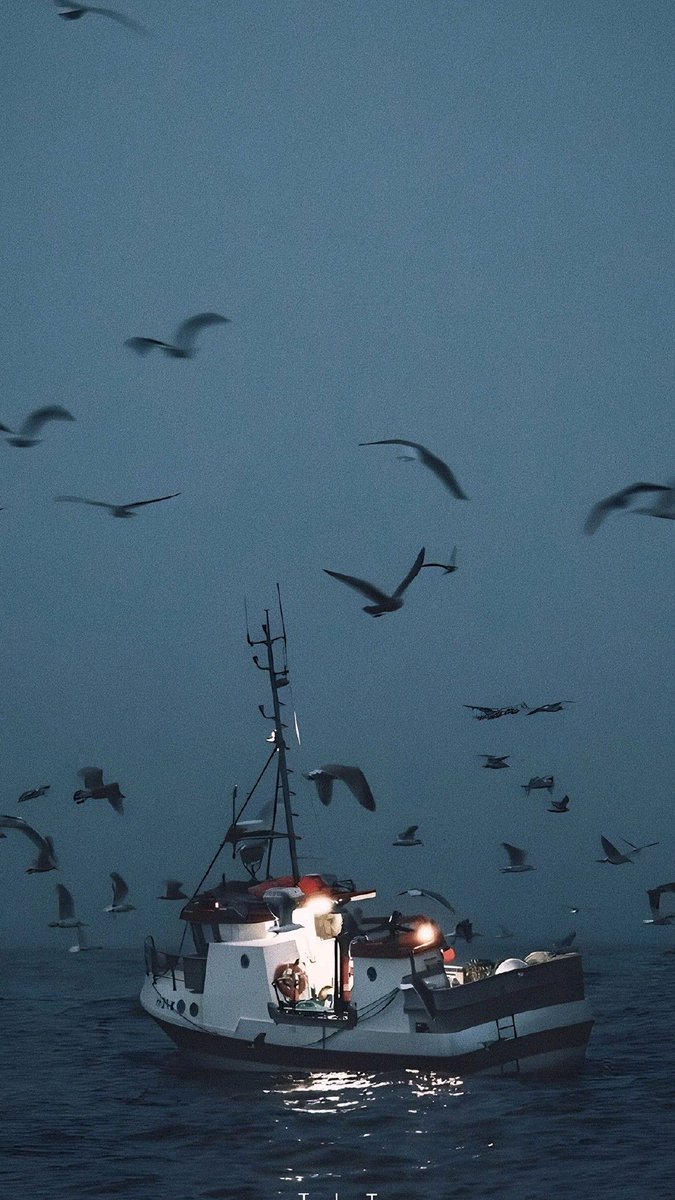 msbtx's tweet photo. "Overhead the albatross
Hangs motionless upon the air
And deep beneath the rolling waves
In labyrinths of coral caves
The echo of a distant time
Comes willowing across the sand
And everything is green and submarine"

Pink Floyd
Echoes
1971 https://t.co/S7hsWKlUJQ