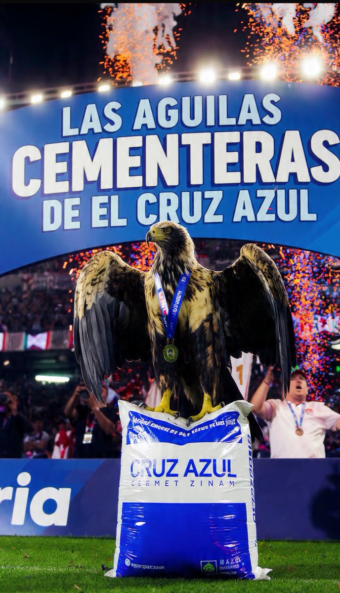 AngiesCactus's tweet photo. @Josepholv_ Este Cruz Azul... https://t.co/wTHDe9R6cY