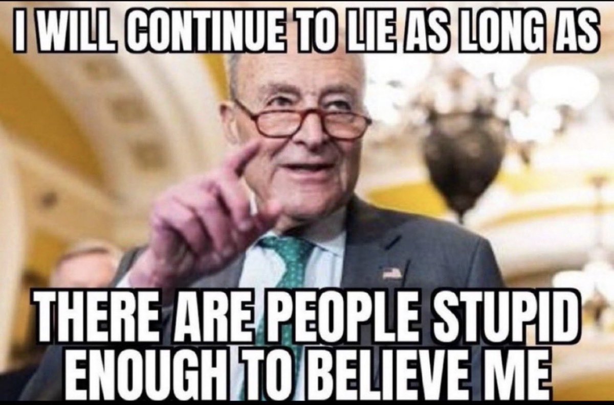 JulsssH68's tweet photo. @SenSchumer It’s past your bedtime old man!!!  The only way you will get more seats is to cheat, like you always do!  You make me sick!!  #dumbacrats https://t.co/bNWopyM2Si