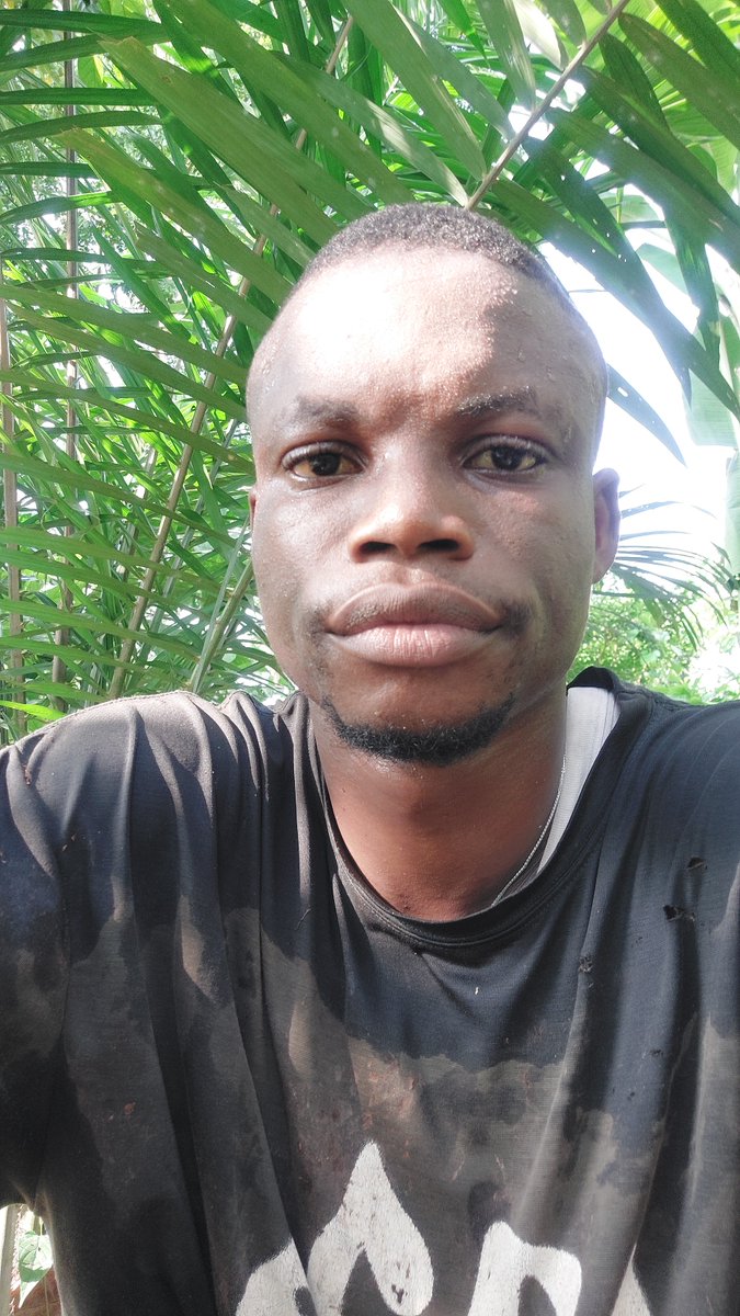 profmbah's tweet photo. They are many challenges in agriculture, but it's requires time, patience, and learning to make something good from it, imagine in our country today where source of livelihood is now by the Grace of what you can get for yourself.
Life of a Cocoa farmer
#proudfarmer #nolimit https://t.co/Ubv8vMvshD