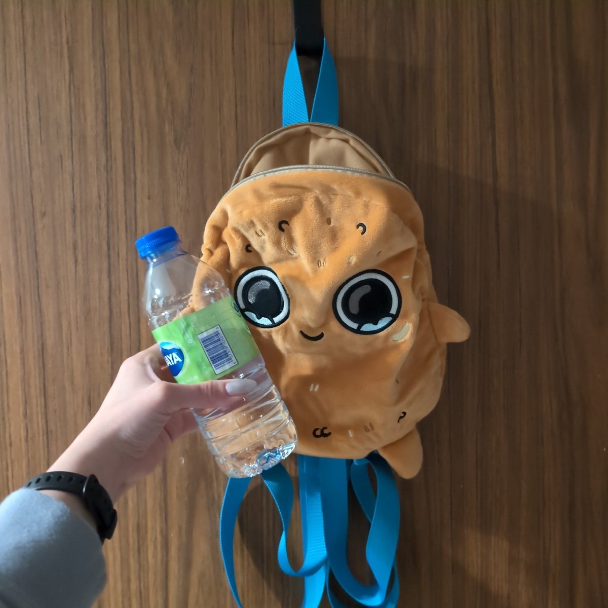 BiblioFate's tweet photo. Because of @rbcamphitheatre  really tiny bag size restrictions, I can't use my @sadnuggietweets backpack to the venue 😭😭😭 for the @bbnomula  concert. What a catastrophe, like literally some people's phones are bigger than the bag size restrictions https://t.co/FeIC9zpGCh
