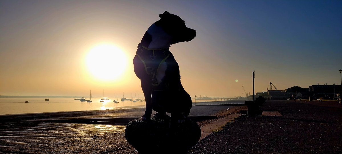Binraker's tweet photo. #WeatherWatchers Early morning dog walk at Gravesend promenade https://t.co/pz6x7Tljl0