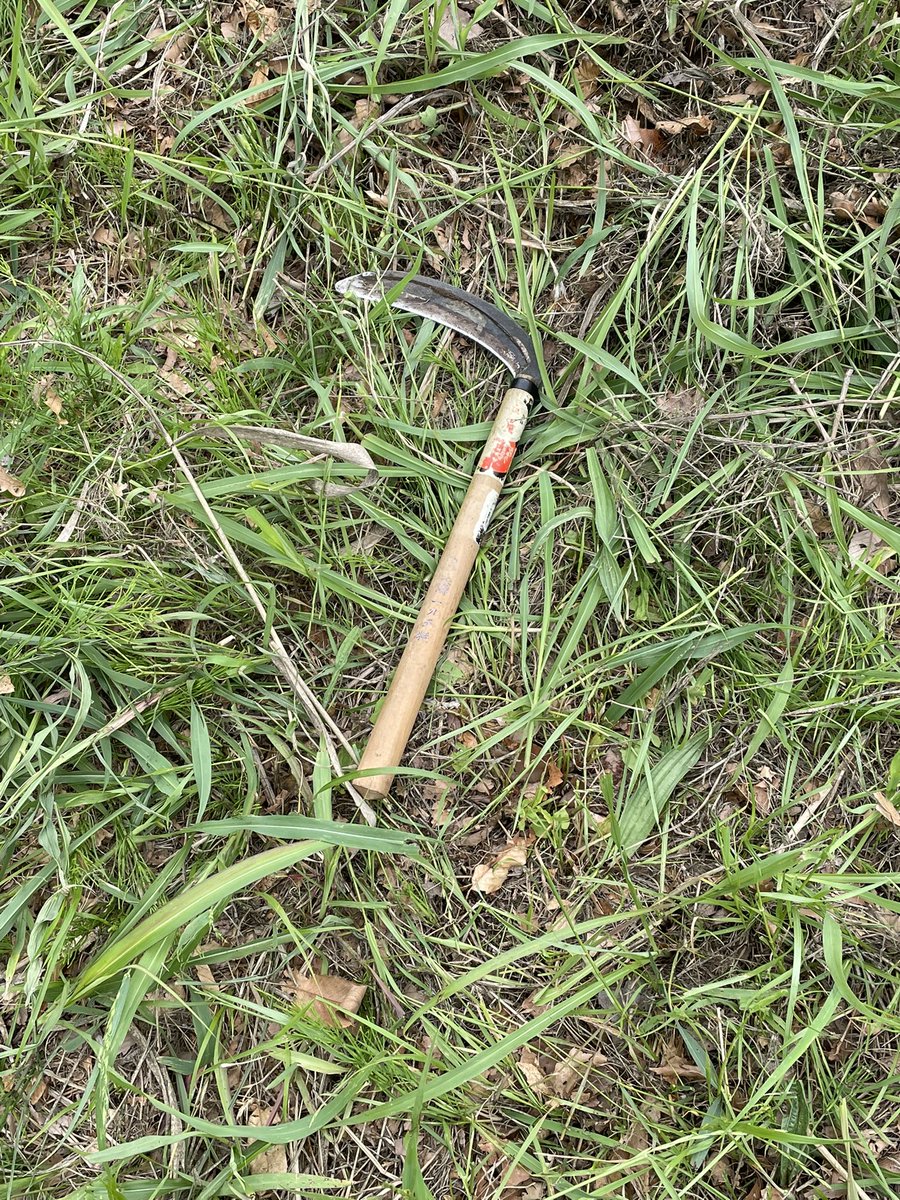 js13rbk's tweet photo. 無線運用無し遊び場40m鎌で草刈り中 https://t.co/8X0XACcY3z