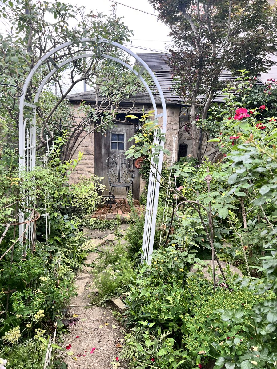 Mikami_yu's tweet photo. 今日は地元のオシャカフェ

最高に癒されてたら良い歳のオッさんとオバさんが隣りの席でキャッキャし始めてうざかったのでさっさと帰りましたな……
リベンジしたい https://t.co/ZfLAIk4koT
