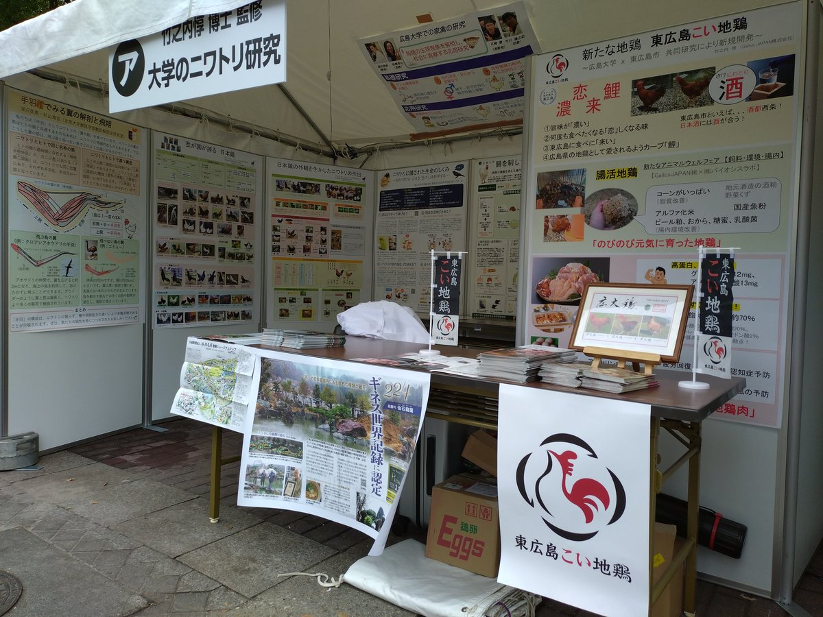 gallusjapan's tweet photo. 手羽先サミット2026
6/5㈮、6㈯、7㈰
ニワトリのことを知りたい方は、ぜひお立ち寄りください👍️ https://t.co/7xY1d5UWio