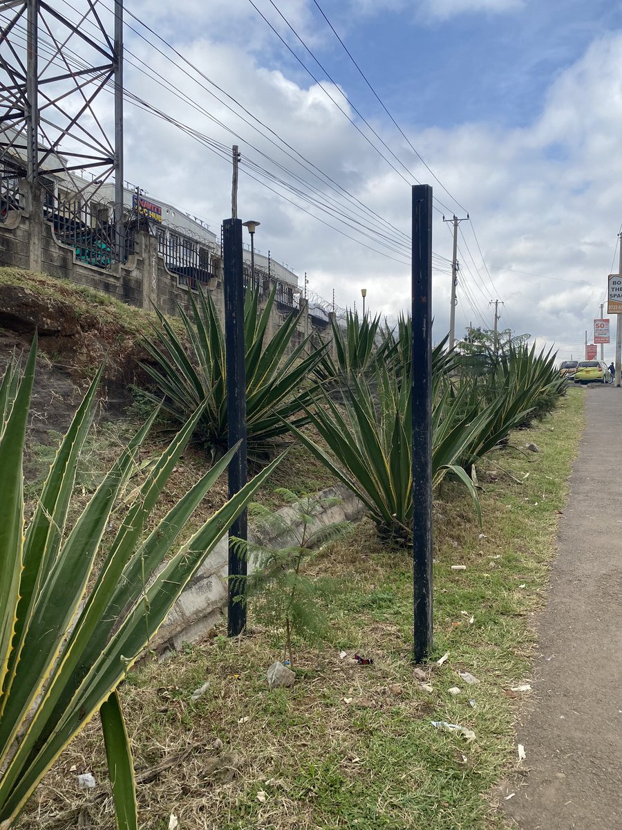 Keeplah's tweet photo. Hello @KURAroads about 90% of sign posts on the Ngong-Langata Link Road are still there. It goes to show that vandals are not interested in the recycled material your supplier used which have zero resale value. Si we go this route everywhere, ama? @MuriraKinoti 

@road_driving https://t.co/JVfdo4Tprn