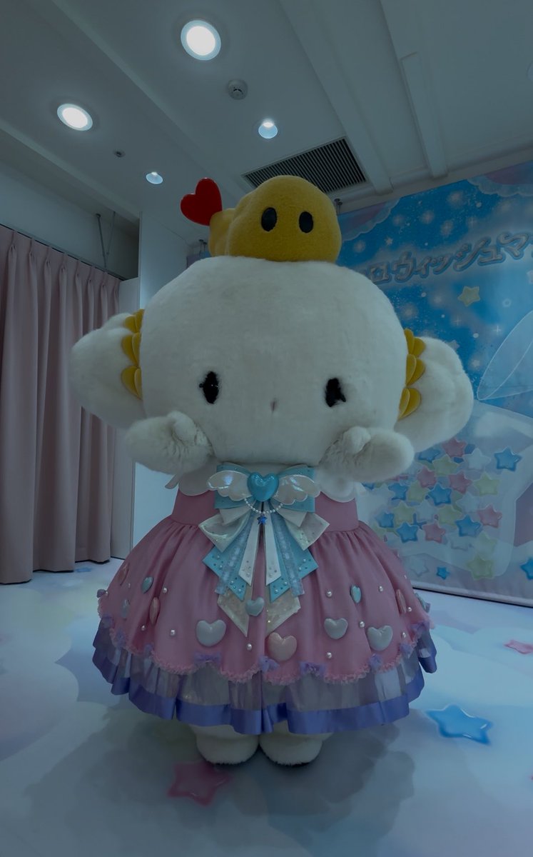 egg_myun's tweet photo. こぎみゅん😭🪽🪽 https://t.co/6zclz5c8x2