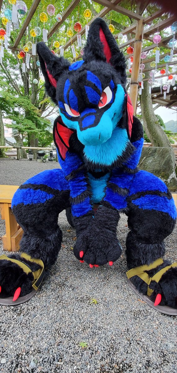 ralfo09's tweet photo. オォッ？

 #FursuitFriday https://t.co/godXOBymnl