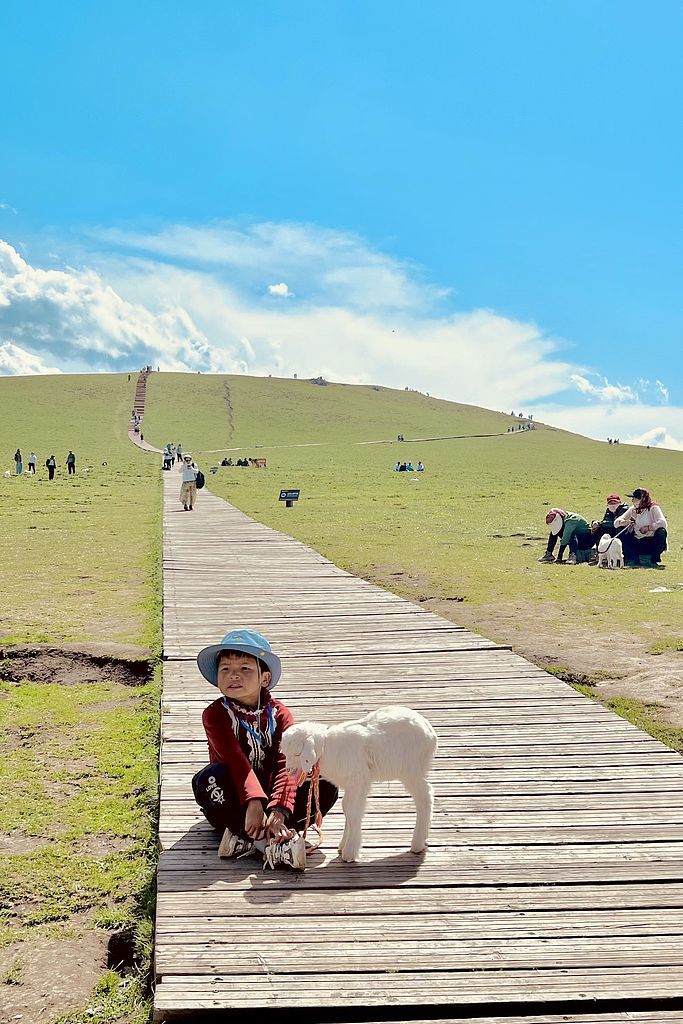 ExploreXJ's tweet photo. According to a report by Tongcheng Travel, #Xinjiang has become a top choice for long-distance family trips — around Children's Day, bookings for family-friendly travel in Xinjiang surged by 68% from the previous month.👪  

Beyond sightseeing, it's now all about immersive, scene-based experiences — building a traditional yurt, learning to identify alpine plants, playing the hand drum, and tasting local pastries.🙌 #DynamicXinjiang #VisitXinjiang #WondrousXinjiang