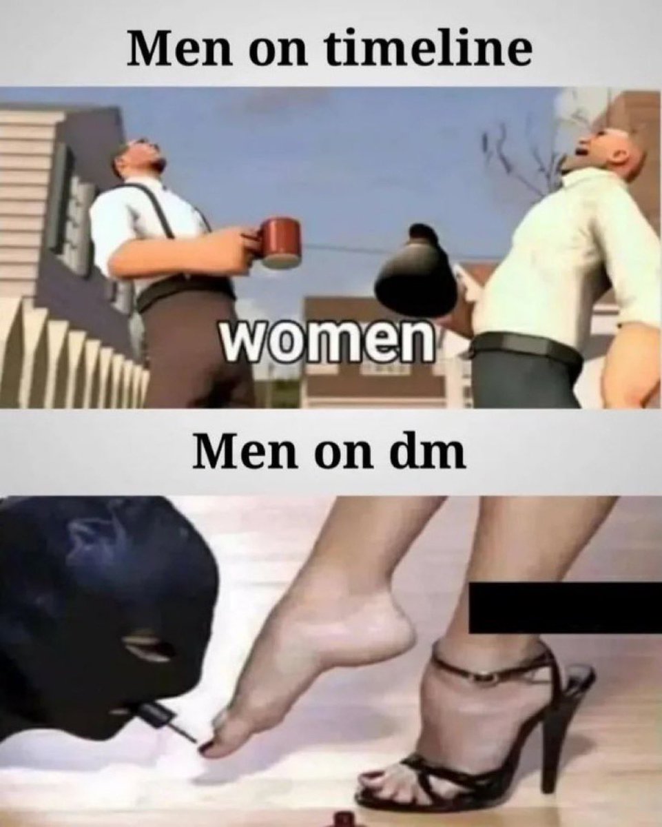 d🪽 tweet media