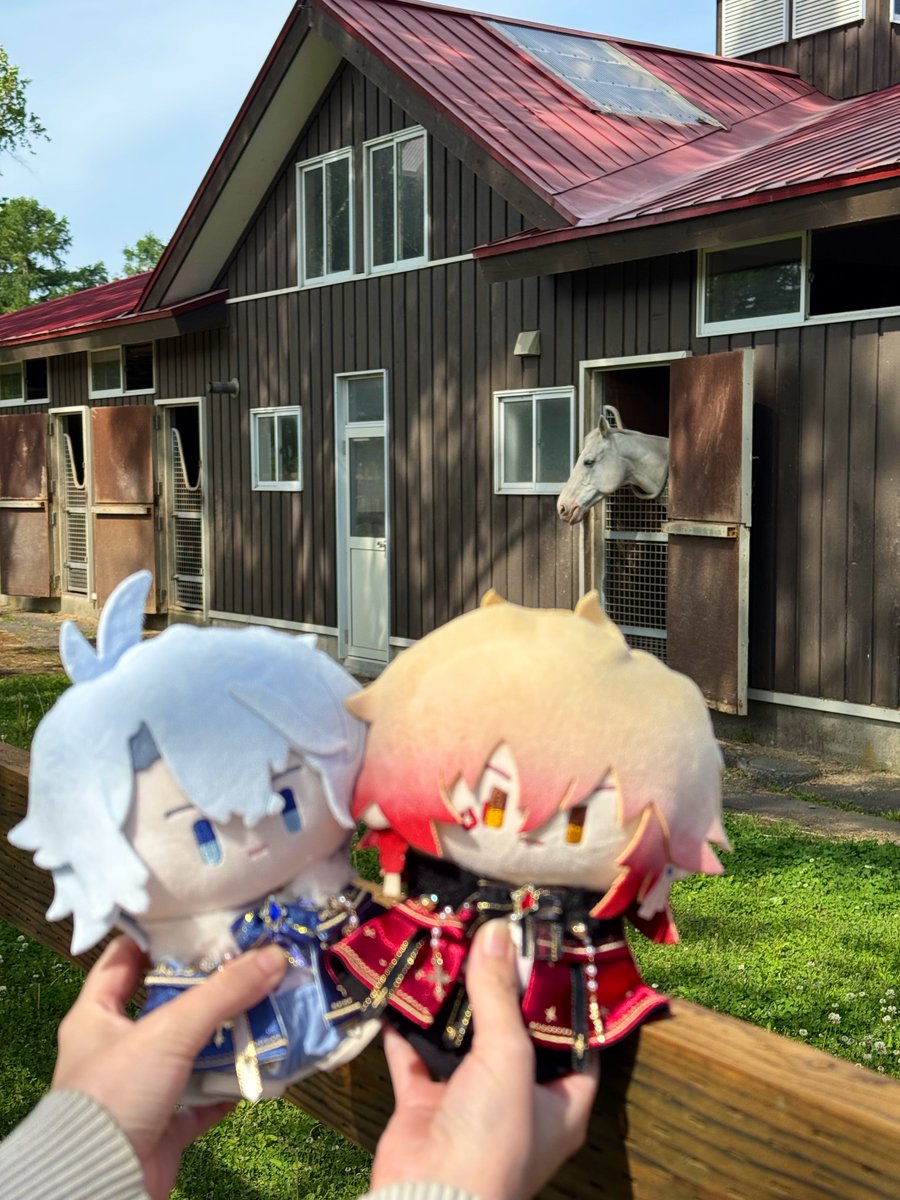 ネオン🍶 tweet media