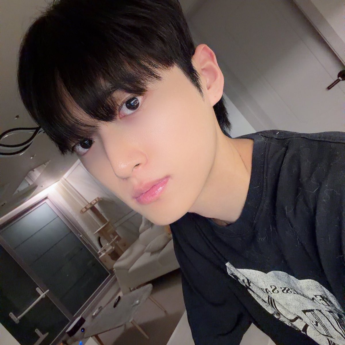 joooooncat's tweet photo. 머리잘랏당 https://t.co/9IgAYwnPM3