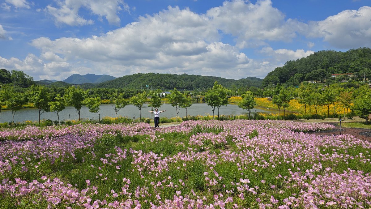 zerotag38's tweet photo. 영월. 연정원에서 https://t.co/kGs6w4Qdgr
