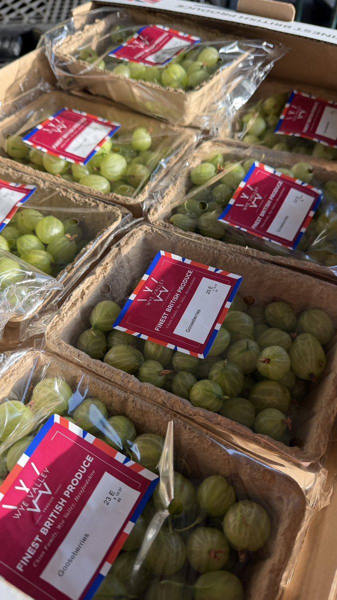 FirstChoiceVeg's tweet photo. British Green Gooseberries in stock now  

02074980550
Sales@firstchoiceproduce.com
https://t.co/jIH6JU9JUx https://t.co/g3YBAxYWy5