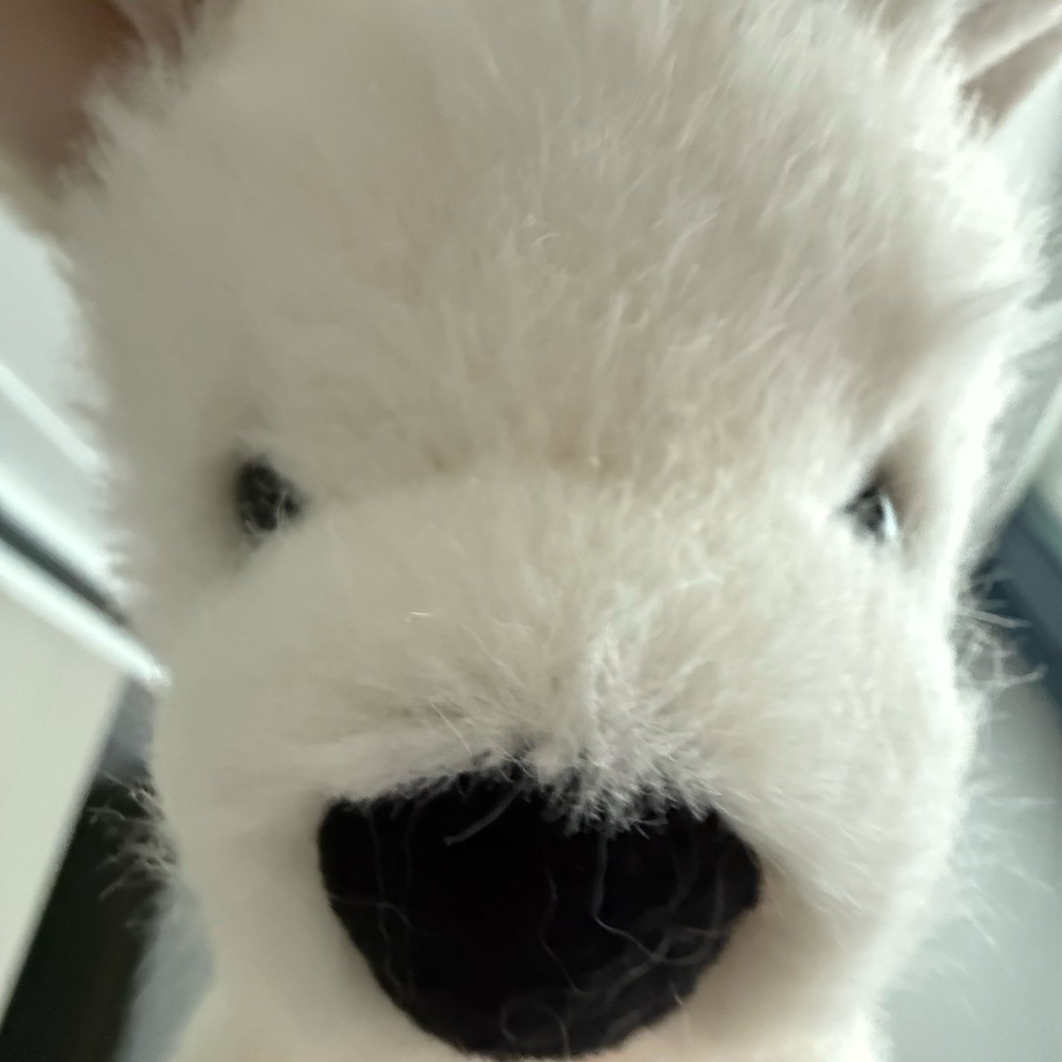 ㅎㄹㅎ tweet media